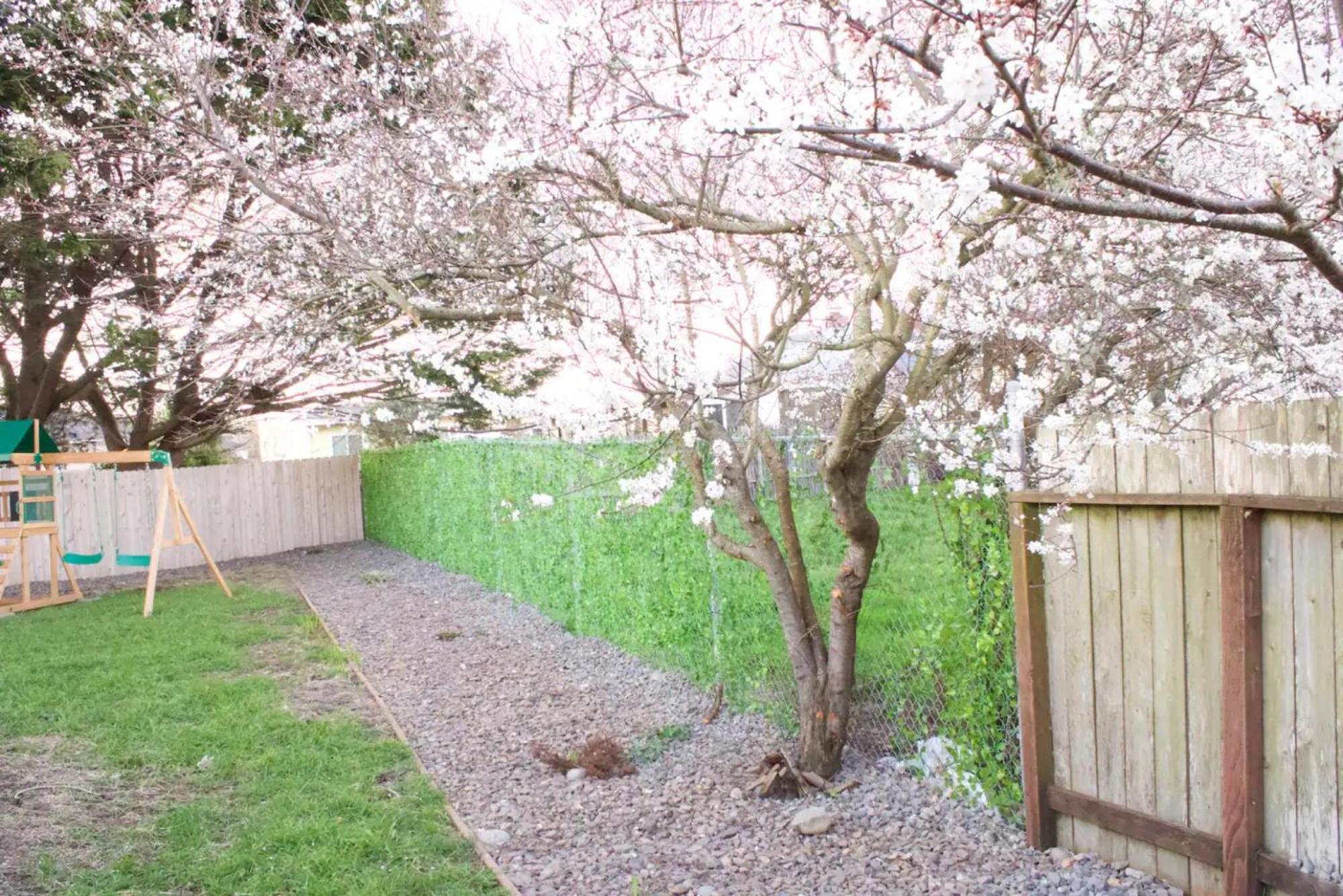 Private Home - Playground, Jumping Mat, Bbq, Darts, Firepit, Gazebo, 4 Smart Tvs, White Cotton Bedding, - The Redwood Cul-De Sac Beach Retreat Crescent City Exterior foto